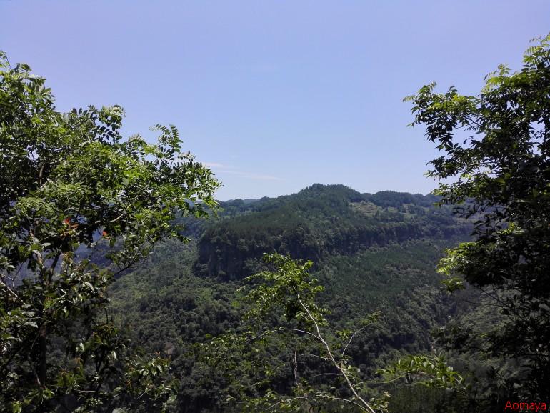 IMG_20150619_125519.jpg