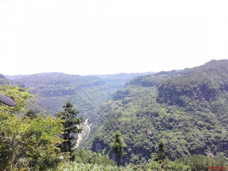 IMG_20150619_125537.jpg