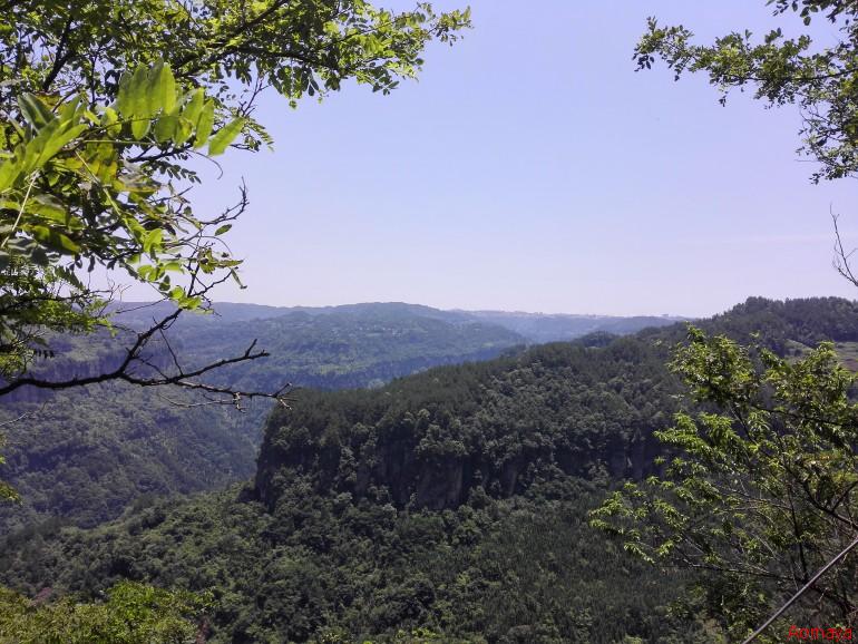 IMG_20150619_123252.jpg