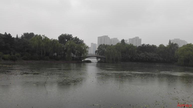 IMG_20150510_155808.jpg