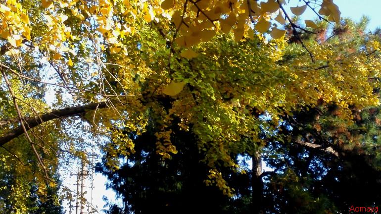 IMG_20161114_081226.jpg