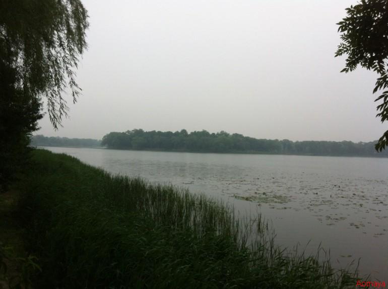 IMG_0510.JPG