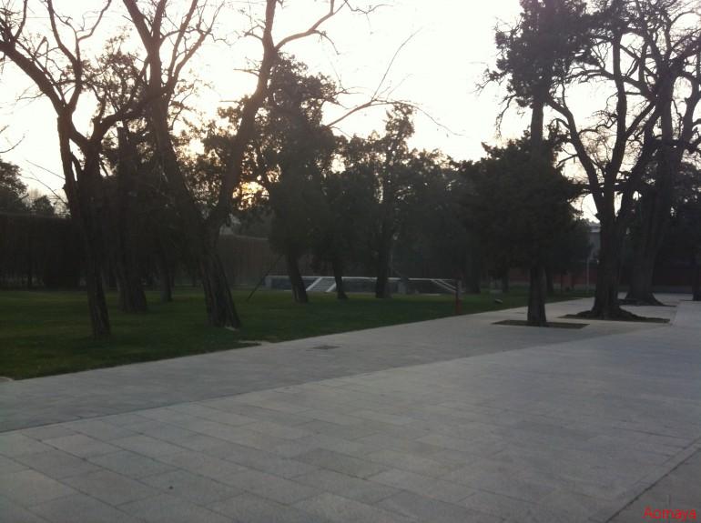 IMG_1097_旋转.JPG