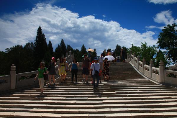 177Y8815.jpg