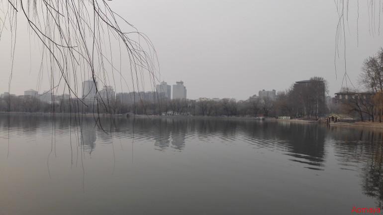 IMG_20150314_171101.jpg