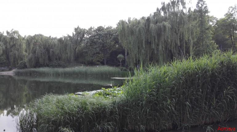 IMG_20150613_160439.jpg