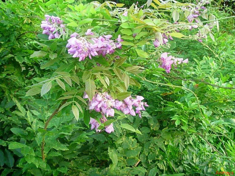DSCN0015.JPG