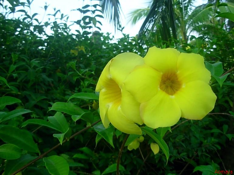 DSCN0027.JPG
