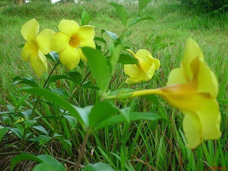 DSCN0030.JPG