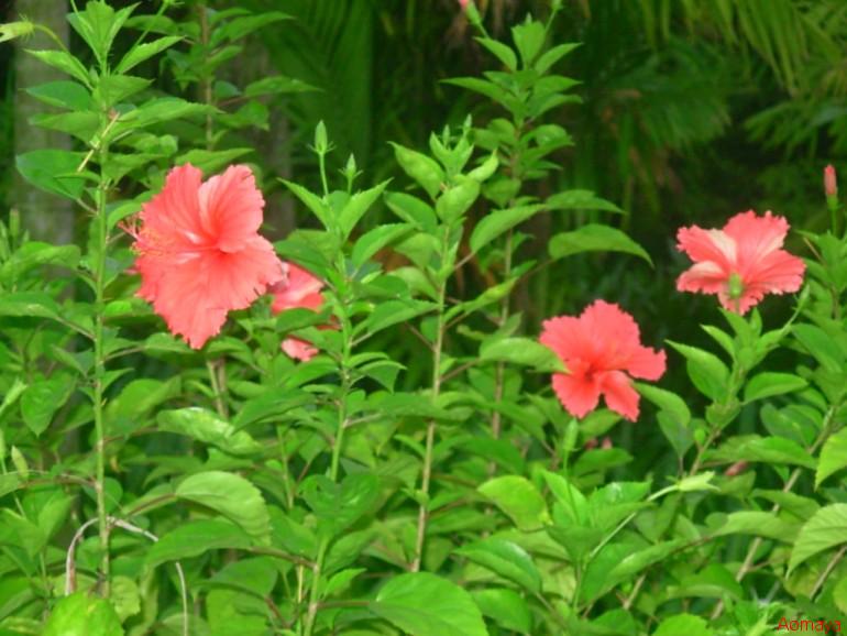 DSCN0007.JPG