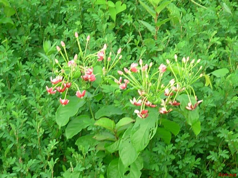 DSCN0020.JPG