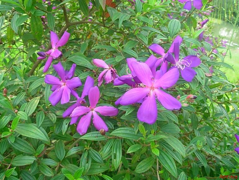 DSCN0024.JPG