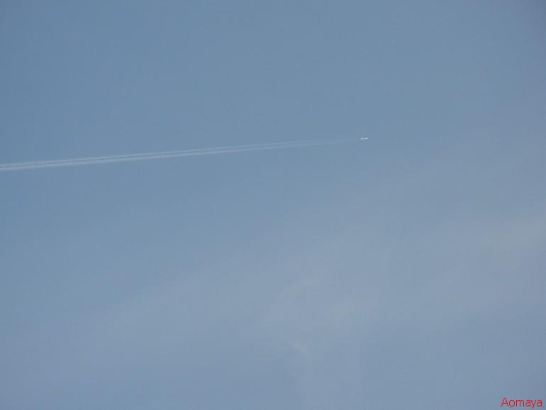 DSCN0022.JPG