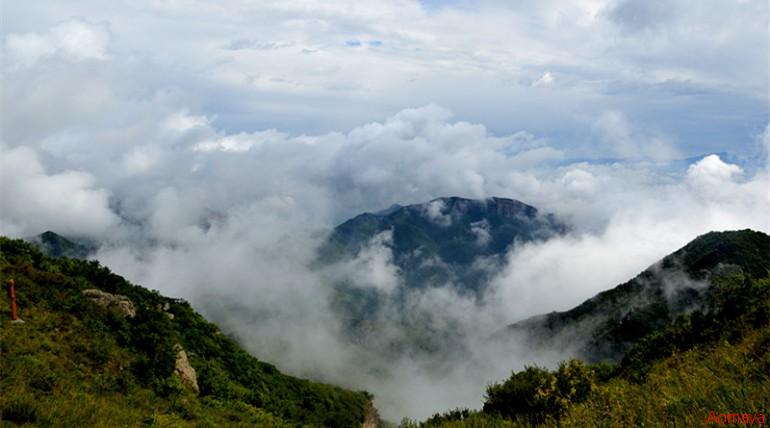 DSC_0425_副本.jpg