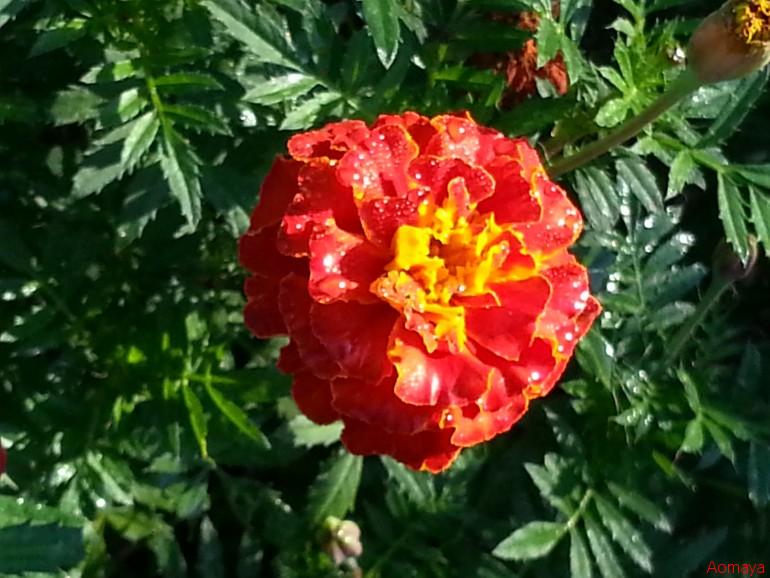 20130920_075133.jpg
