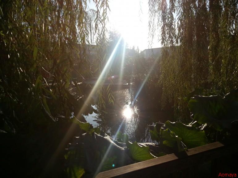 20130920_070807.jpg