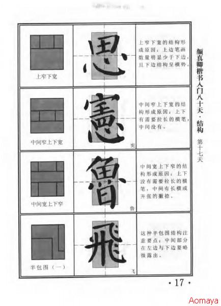 13.jpg