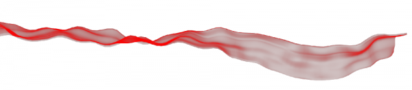 1104172029a0e9c6748029c804.png