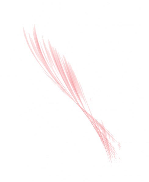 1104172034fc49debd2d6cd069.png