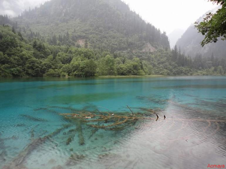 20110802_658174cd999f4520476b7s7s0g9SzX0Z.jpg