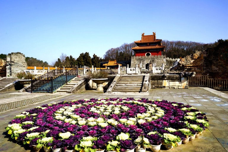 DSC05007_副本.jpg