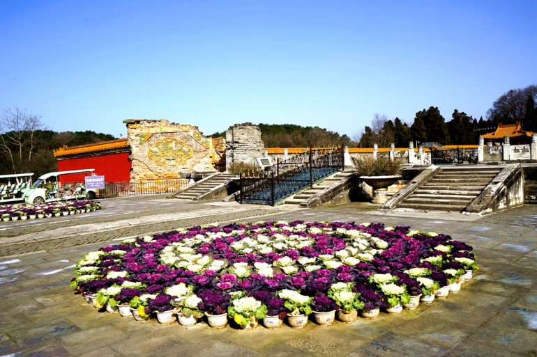 DSC05006_副本.jpg