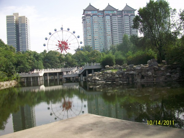 100_6973.JPG